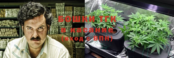 ГАЛЛЮЦИНОГЕННЫЕ ГРИБЫ Абаза