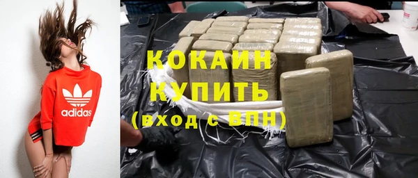 хмурый Осинники