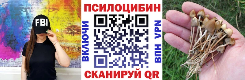цены наркотик  Микунь  Галлюциногенные грибы Magic Shrooms 
